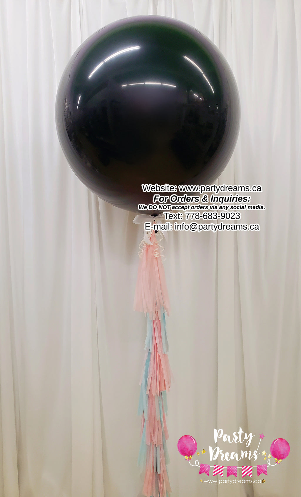 Gender Reveal Round Balloon with Tassels #310